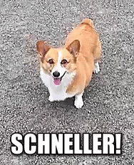 schneller.gif