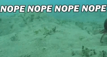 nopeoctopus.gif