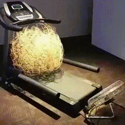 tumbleweed_on_hometrainer.gif