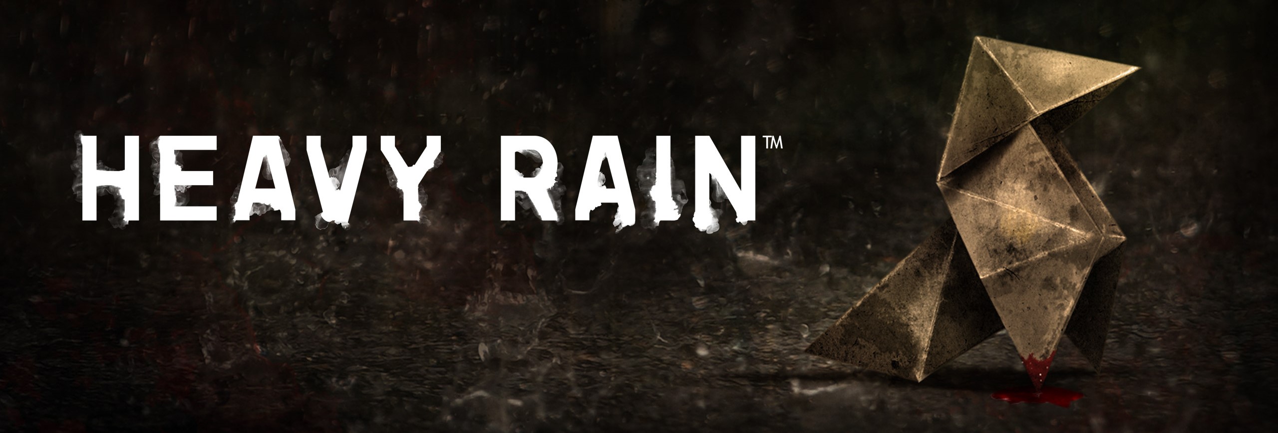heavyrainBanner.jpg