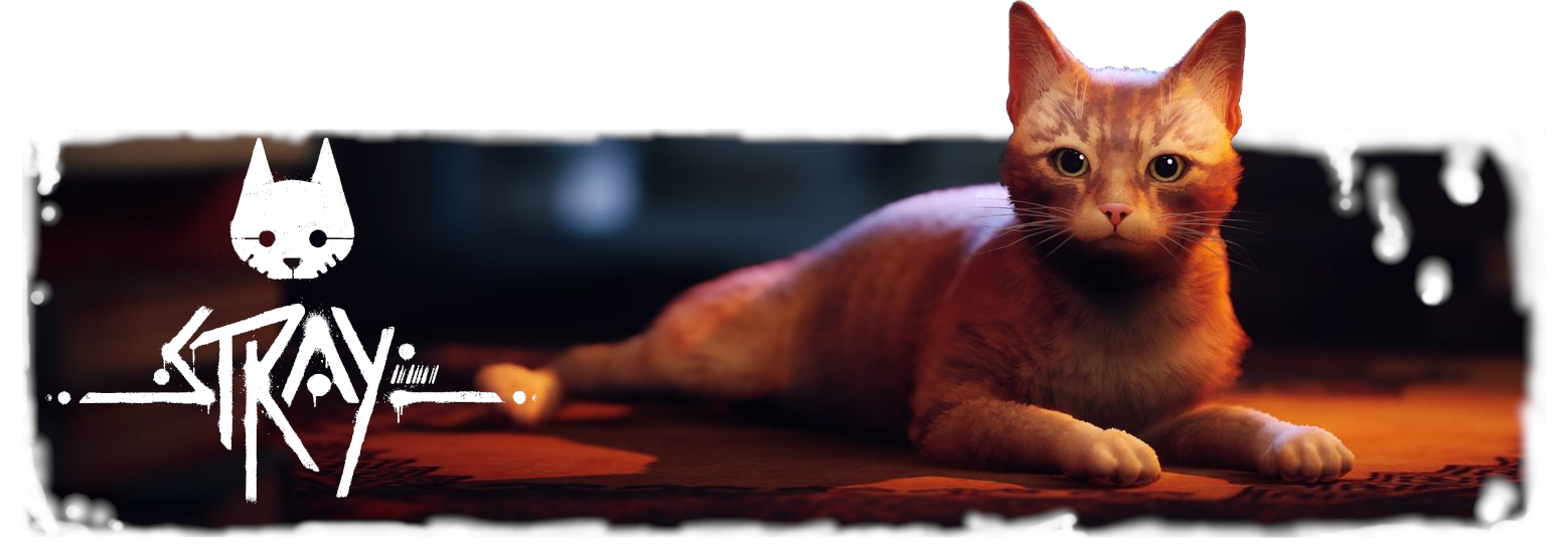 STARYBAnner.png