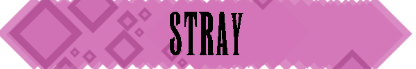 STRAYHeader.png