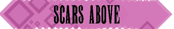 BannerPinkScarsAbove.webp