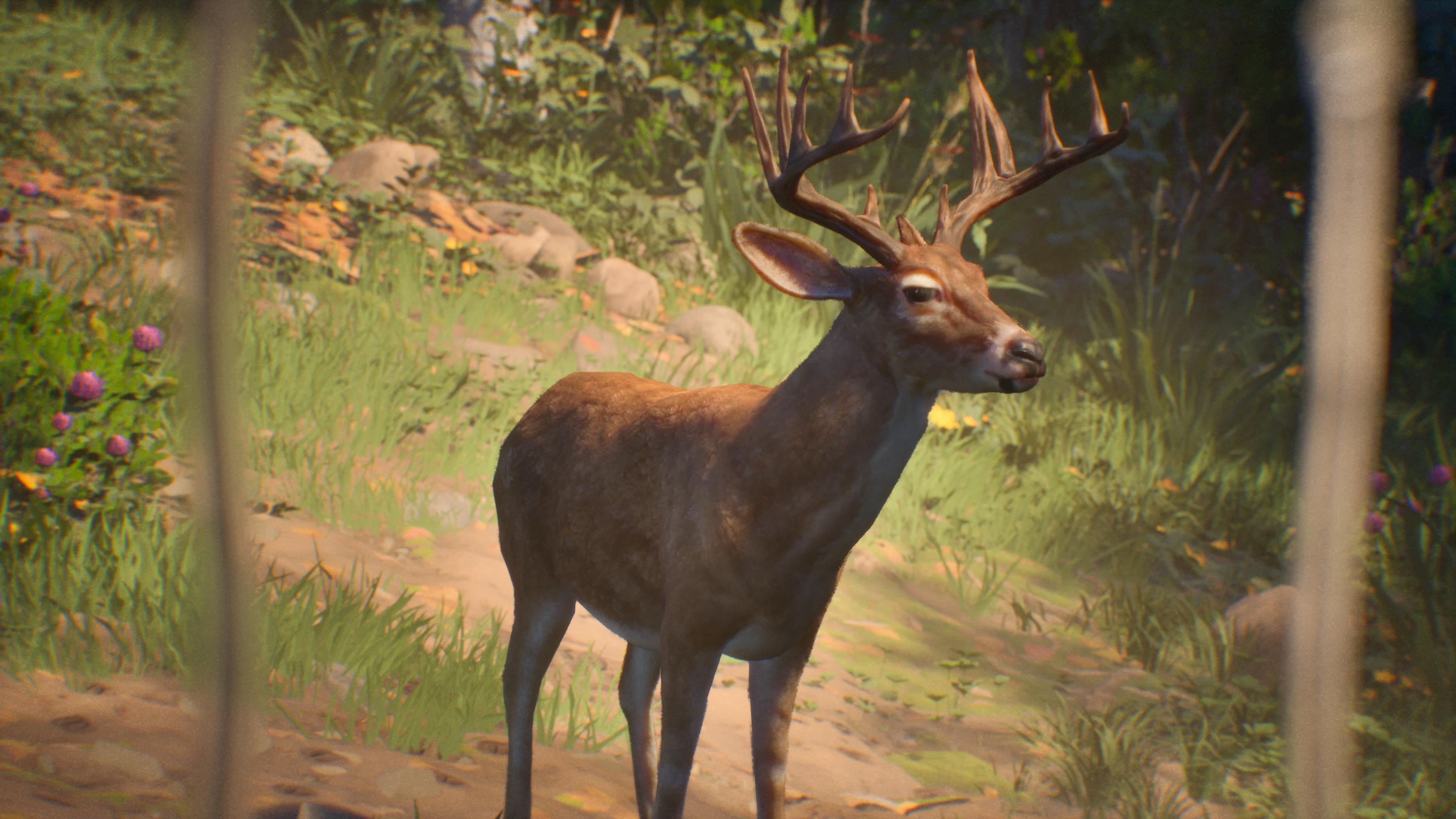 LostRecordsBloomRage1_deer.jpg