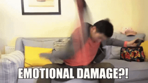 emotionasldamage.gif