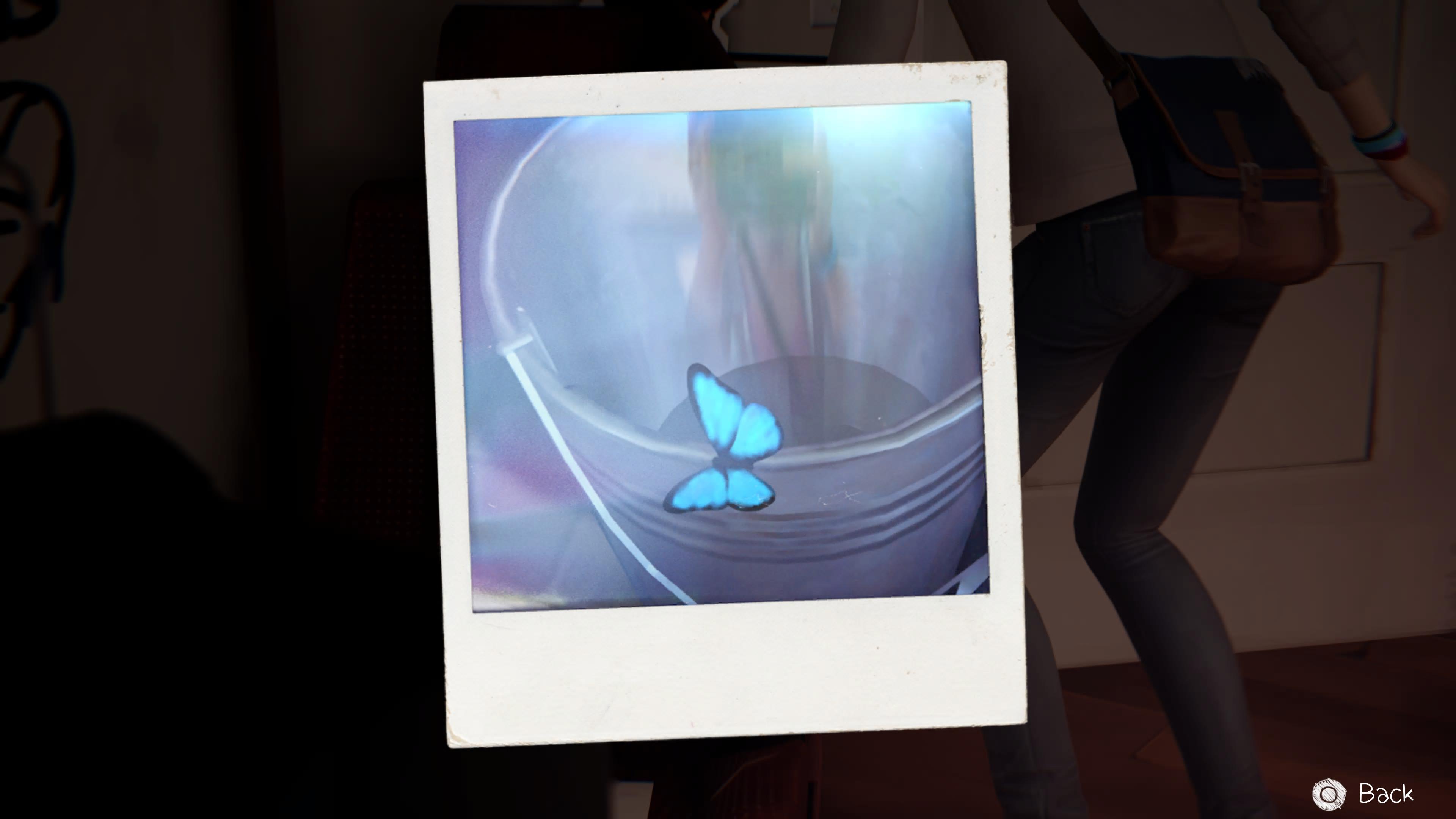 LIS1_FotoButterfly.jpg