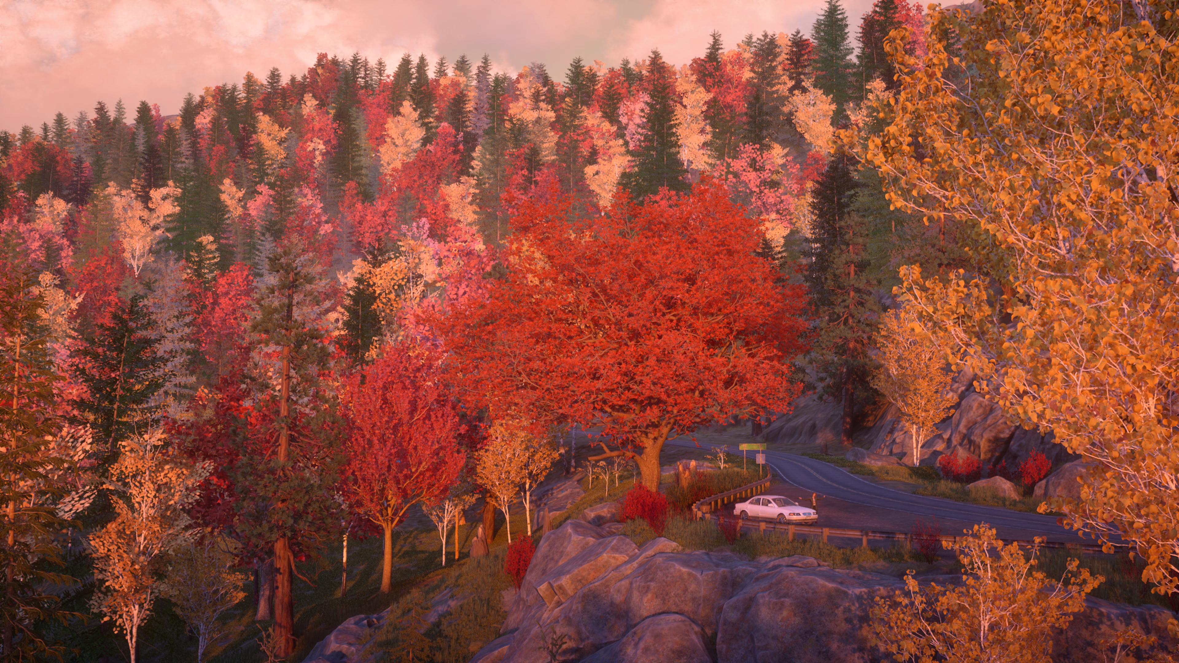 LifeisStrange_Reunion_View.jpg