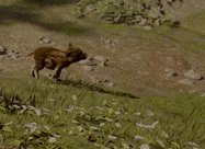 AdorableAdventuresGary.gif