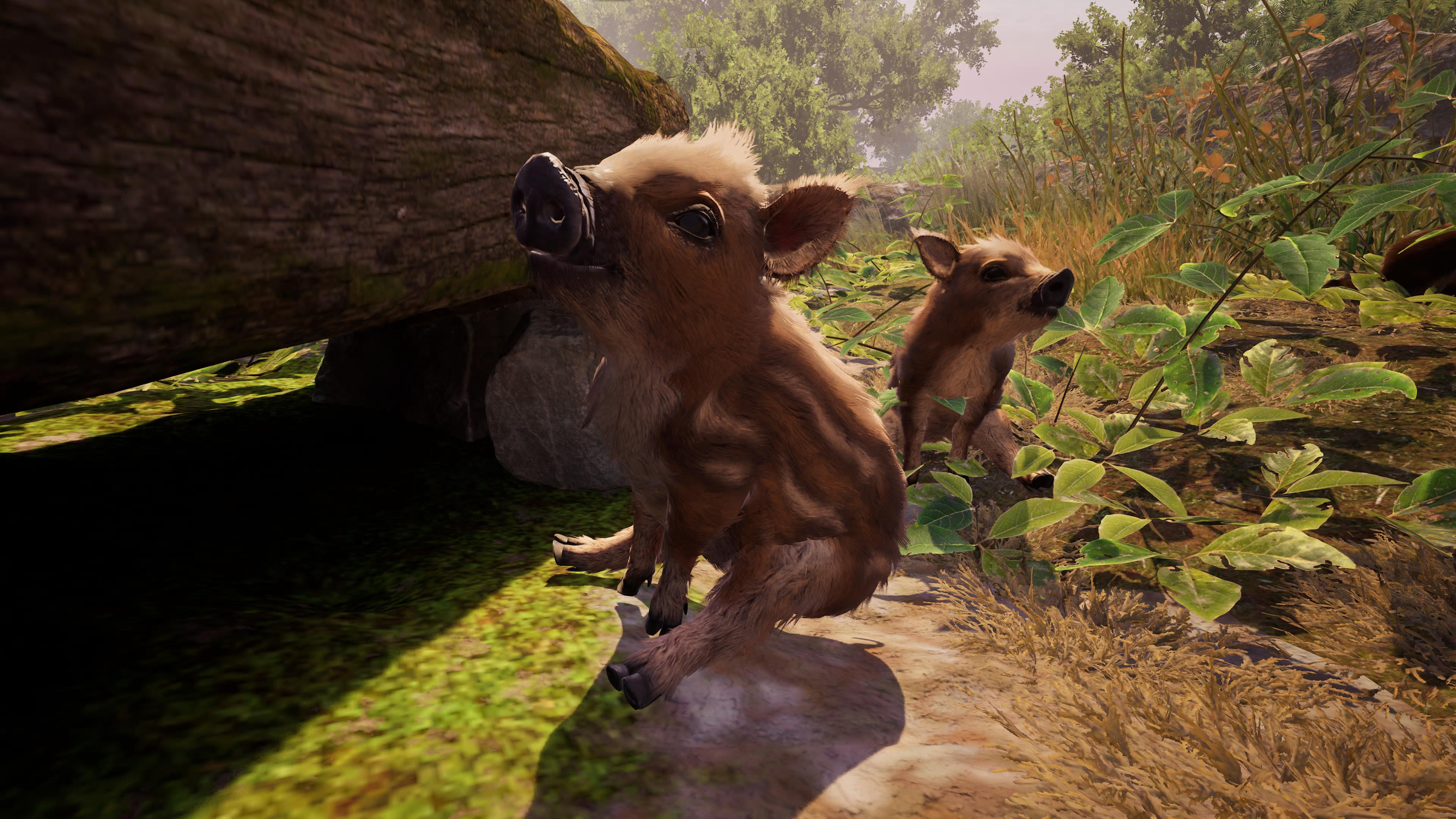 AdorableAdventures_Babies.jpg