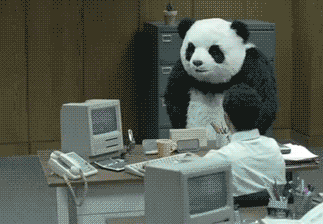 angryPanda.gif