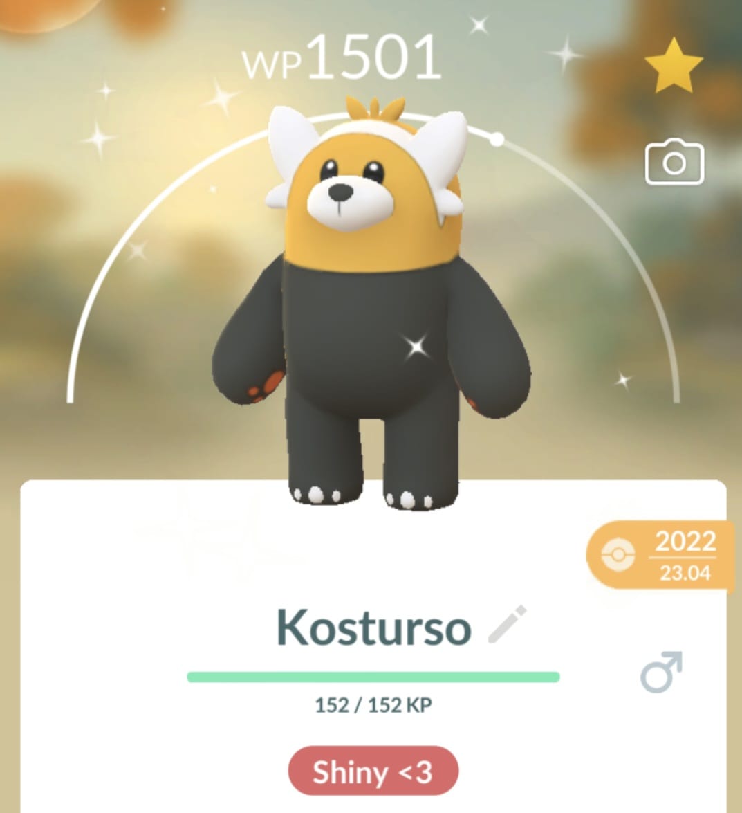 Shiny.jpeg