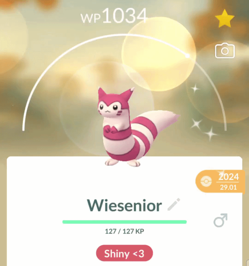 Wiesenior.gif